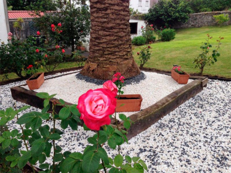 jardineria jardineria